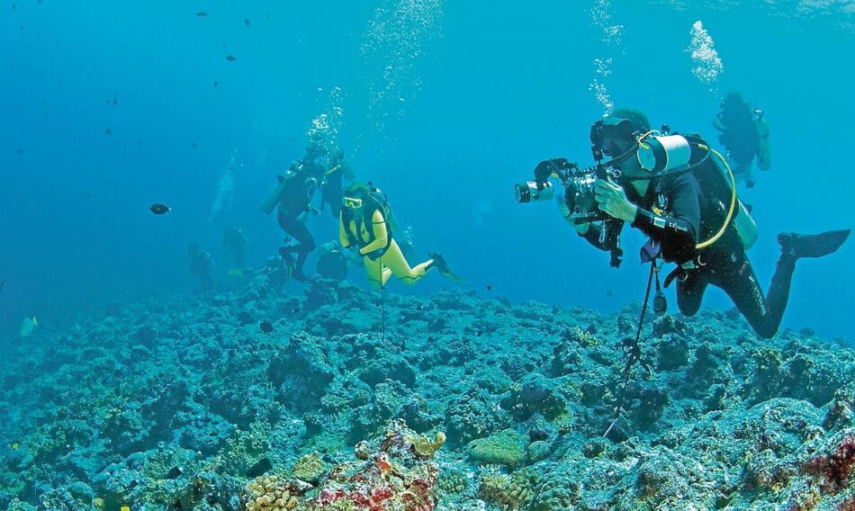 Cambio climático pone en peligro el patrimonio mundial