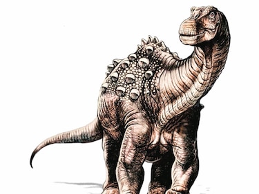Descubren restos del primer dinosaurio que vivió en Ecuador