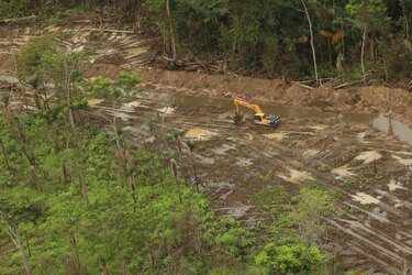 Titulación ilegal en humedal Matusaragatí pone en jaque biodiversidad de Darién