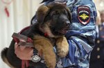 Rusia envía a Francia cachorro para sustituir a perro policía que murió en operativo antiterrorista