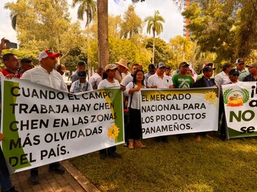 Arroceros marchan hasta la presidencia para reclamar pagos atrasados