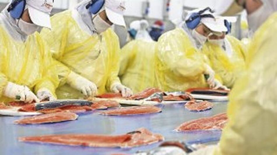 Producción industrial crece 12.2% en Chile