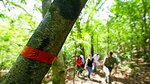 Turismo comunitario en el Soberanía