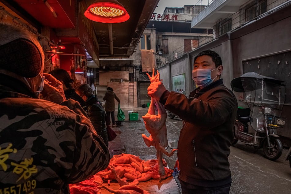 OMS: estudios de ‘Science’ sobre origen de la covid-19 son útiles pero no suficientes