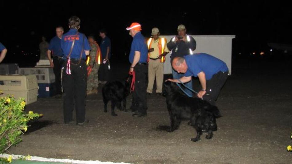 Perros y guías holandeses partieron de Chiriquí
