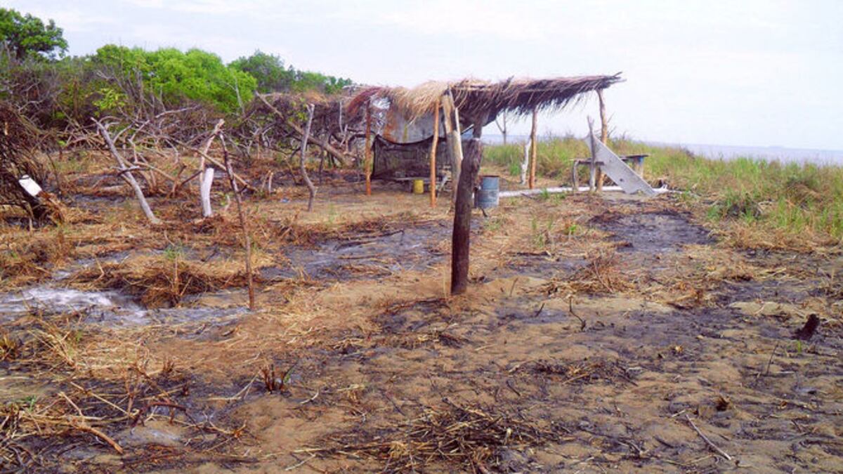 Confirman afectación dentro del área protegida de La Enea