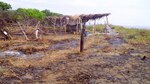 Confirman afectación dentro del área protegida de La Enea
