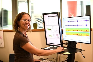 Cómo los cantos de los saltamontes amplían los conocimientos de los investigadores sobre los insectos tropicales
