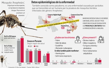 Los casos de malaria, en aumento en Panamá