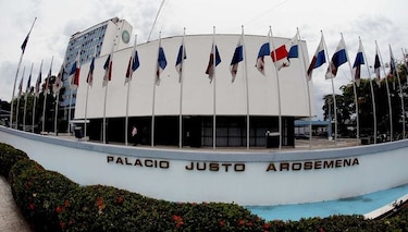 Comisión de Asuntos Municipales discute norma sobre tenencia de perros peligrosos