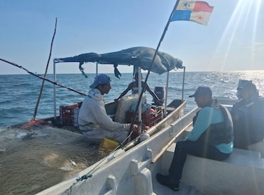 Levantan veda del camarón en Panamá y arranca la primera temporada de pesca 2026