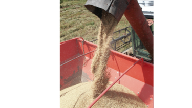 MIDA tramita $27 millones para subsidiar a productores