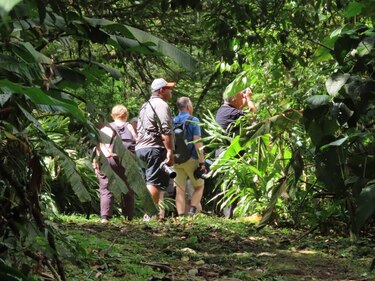 Movimiento turístico en El Valle de Antón causa malestar entre moradores