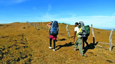 Camino a la cima