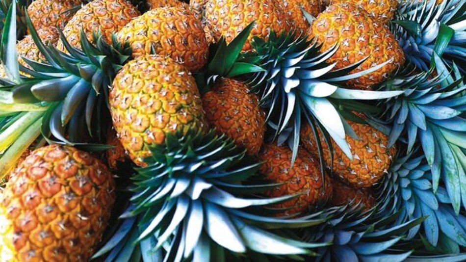 La piña, una alternativa vegana para estar siempre a la moda