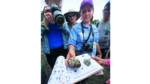 Naturaleza, ciencia y educación
