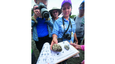 Naturaleza, ciencia y educación