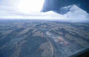 La lluvia  ayuda a los bomberos en Australia  