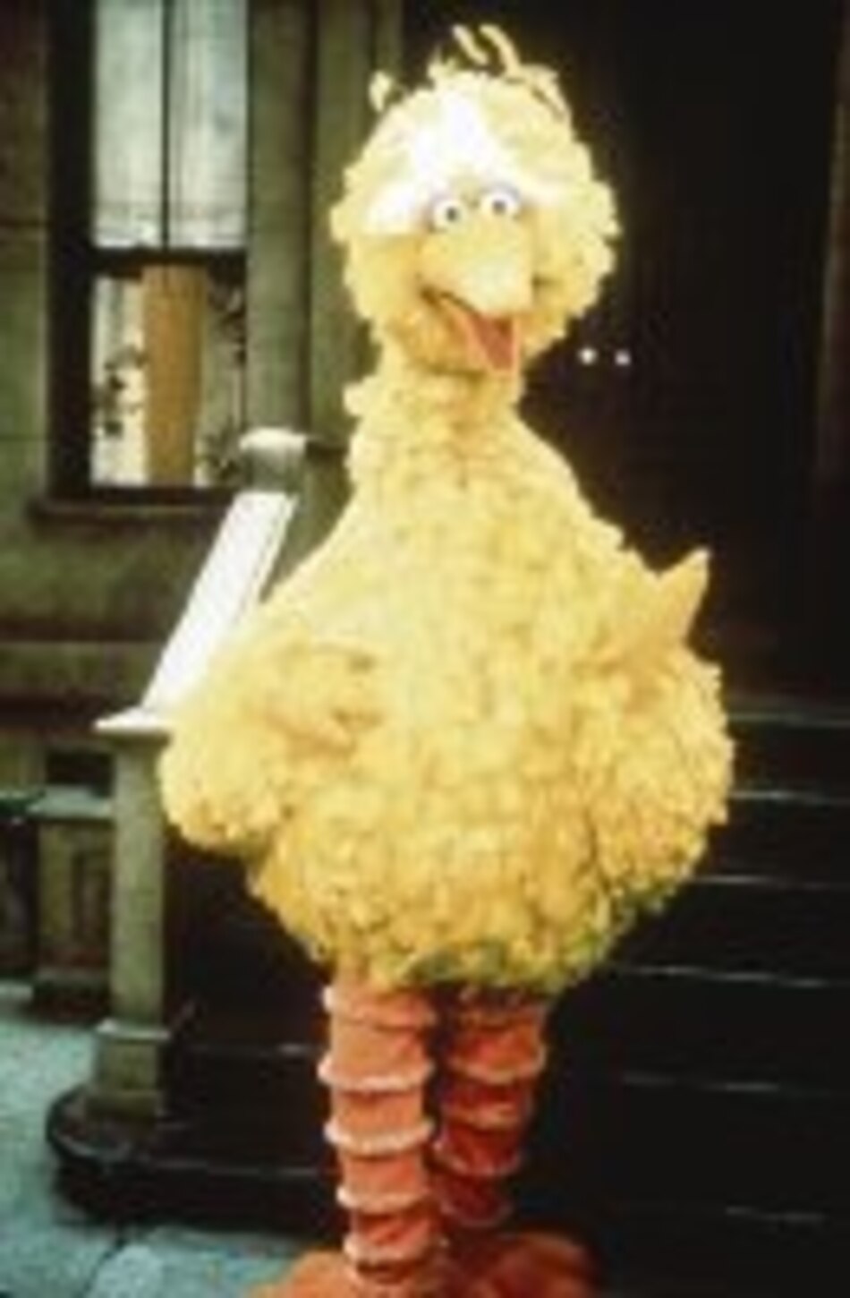 Plaza Sésamo estará en Panamá