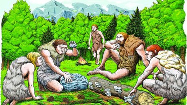Neandertal usaba ‘aspirina’ para dolor de muelas