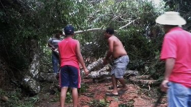 Fuerte aguacero causa caída de árboles y obstrucción de una vía