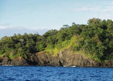 Tierras, el millonario negocio del quinquenio Martinelli