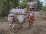 Carbón de leña, el negocio de la vergüenza que genera millones de dólares en Haití y acelera el cambio climático