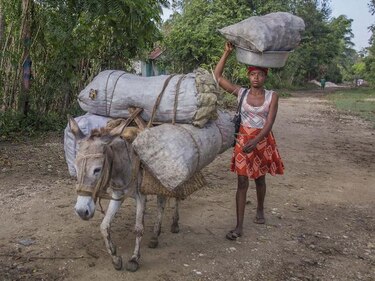 Carbón de leña, el negocio de la vergüenza que genera millones de dólares en Haití y acelera el cambio climático