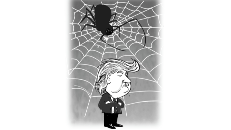 La estrategia de la araña