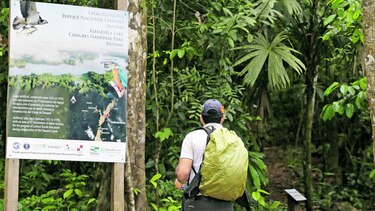 Conservar al jaguar y sus pisadas