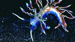 El ‘Top 10’ de nuevas especies