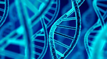 ADN en las células es el 'descubrimiento del año' para Science