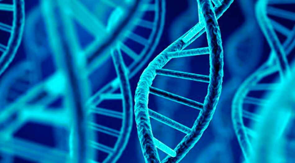 ADN en las células es el 'descubrimiento del año' para Science