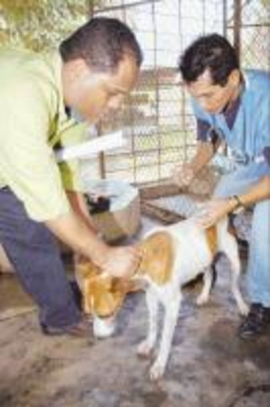 Protestan contra 'Amigos de los animales'