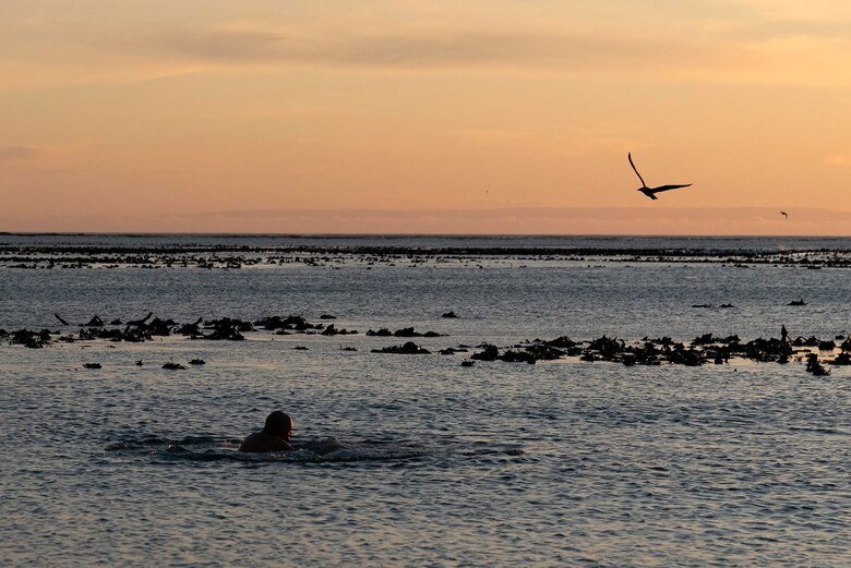Día Mundial del Océano: el gran generador de vida y regulador del clima