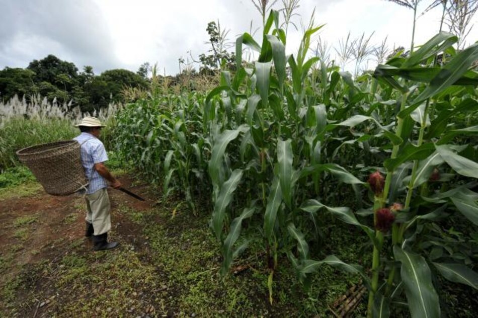 Crece 4.4% actividad económica de México