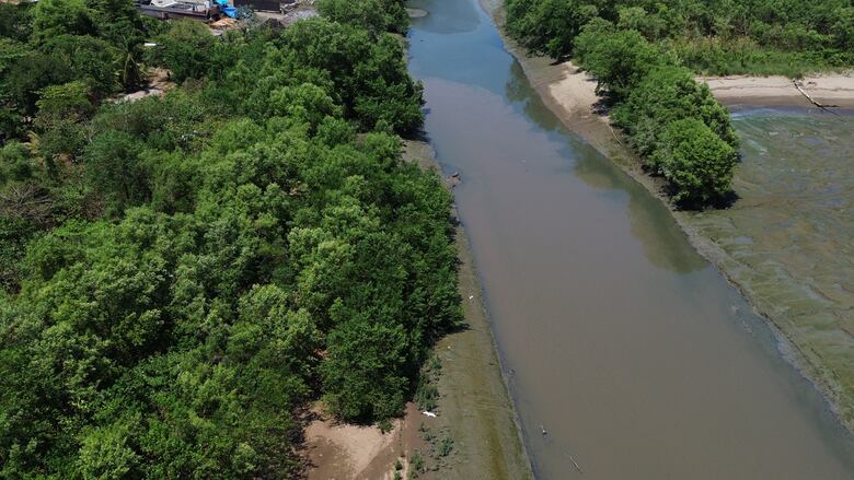 Proyecto de ley: ¿se permitirá la pesca industrial en humedal bahía de Panamá?