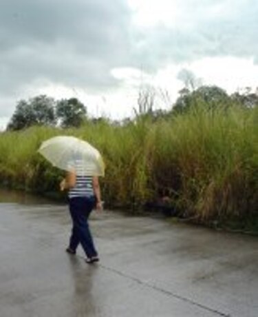 Influencia climática