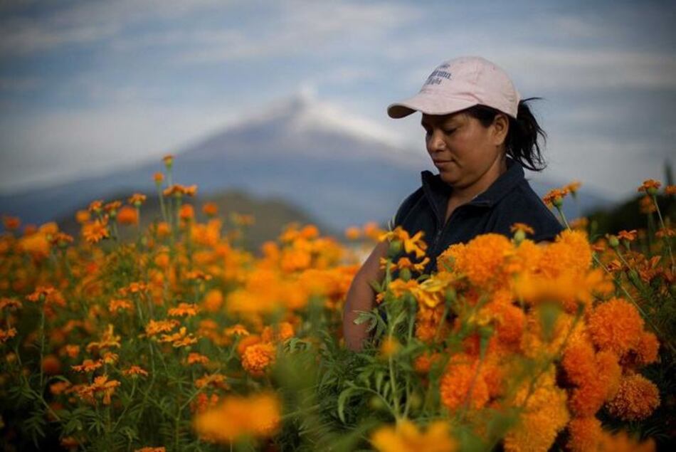 FAO: Urge protección social para mujeres rurales en Centroamérica y México