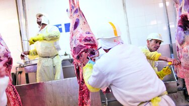 Brasil recupera mercado de la carne