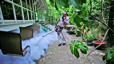 Zancudo inglés contra el zika