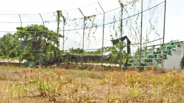 Pandeportes: miles de dólares para zonas donde no hay ligas