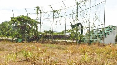 Pandeportes: miles de dólares para zonas donde no hay ligas