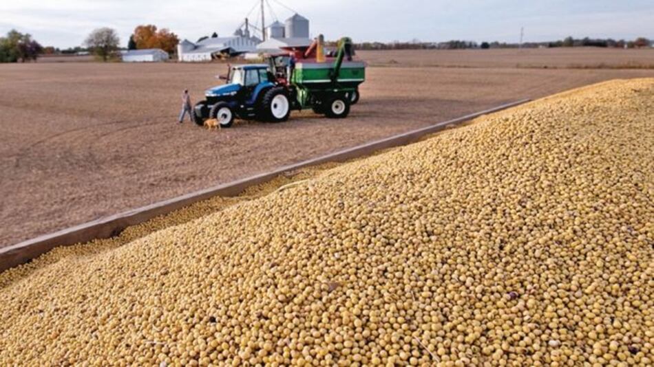 Humedad pasa factura a productores argentinos