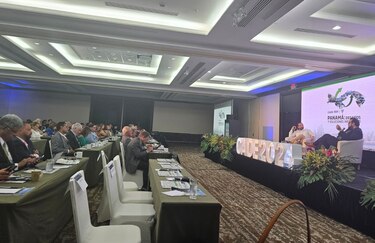 Carrizo, Torrijos y Rodríguez cancelan su participación en CADE 2024; Roux envía a su vice y Mulino asiste a la cita