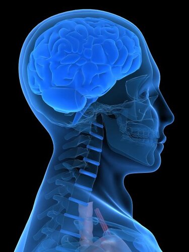 Científicos estudian las causas del suicidio