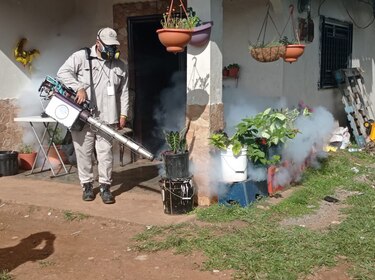 Panamá acumula 7 mil 79 casos de dengue