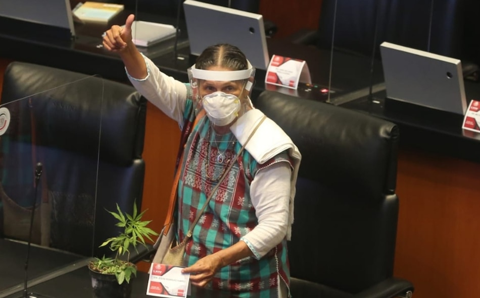 Bancada del PAN en el Senado mexicano rechaza designación de Jesusa Rodríguez como embajadora en Panamá