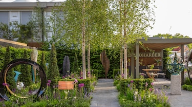 Fernando Wong recibe reconocimiento de 5 estrellas en el RHS Chelsea Flower Show 2025