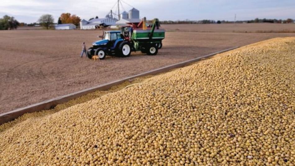 Mantienen plan de reducir impuestos a los envíos de soja